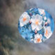 The Super Flower Moon