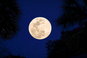 Lunar Eclipse and Full moon.