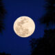 Lunar Eclipse and Full moon.