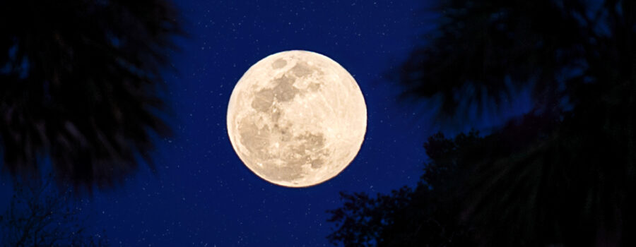 Lunar Eclipse and Full moon.