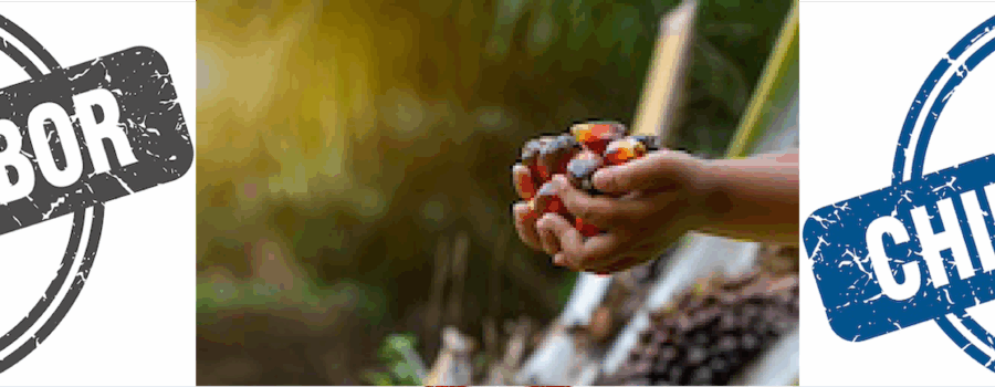 The Hidden Dangers of Palm Oil in Your Soap.