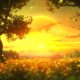 The Festival of Element of Soul